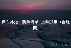 糖心vlog _ 新手清单_上手即用（合规向）