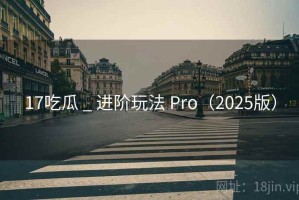17吃瓜 _ 进阶玩法 Pro（2025版）