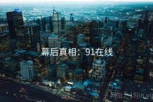 幕后真相：91在线