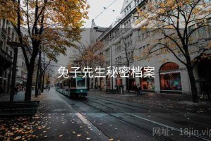 兔子先生秘密档案
