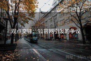观点交锋：91官网引发的争议