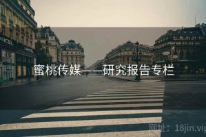 蜜桃传媒——研究报告专栏