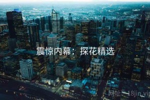 震惊内幕：探花精选