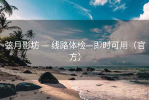 弦月影坊 — 线路体检—即时可用（官方）