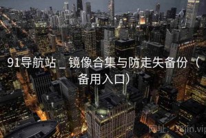 91导航站 _ 镜像合集与防走失备份（备用入口）
