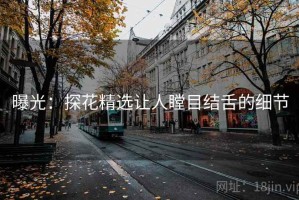 曝光：探花精选让人瞠目结舌的细节