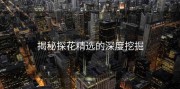 揭秘探花精选的深度挖掘