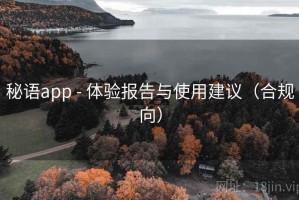秘语app - 体验报告与使用建议（合规向）