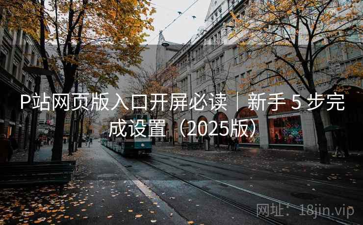 P站网页版入口开屏必读｜新手 5 步完成设置（2025版）