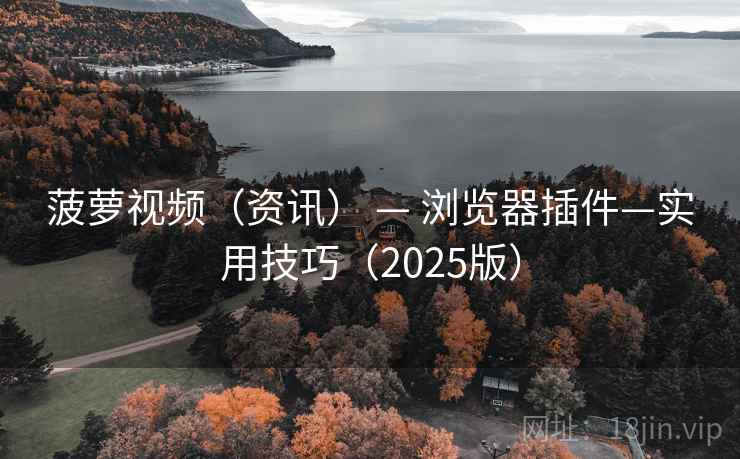 菠萝视频（资讯） — 浏览器插件—实用技巧（2025版）