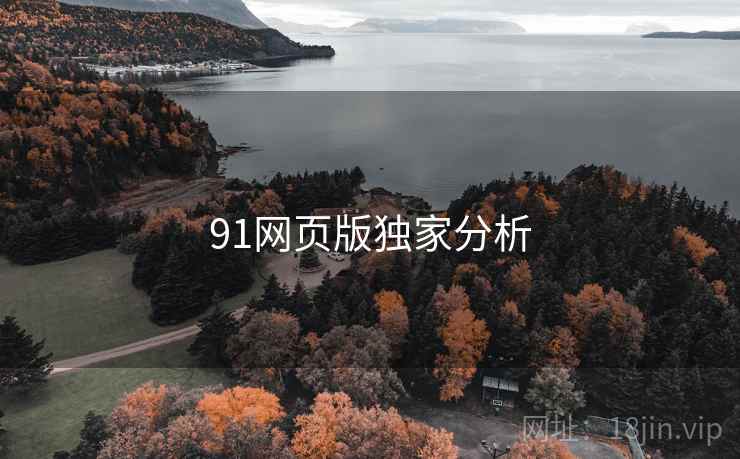 91网页版独家分析